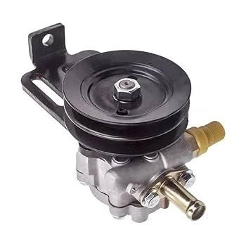 Amazon.com: Power Steering Pump Compatible for Isuzu -4JA1
